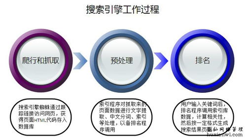 搜索引擎的运作方式及其在网络信息技术推广服务中的作用