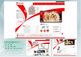 厦门易尔通网络科技 区域营销服务中心与网络信息技术推广服务