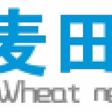 连接未来 解析鑫铝麦田网络工作室的网络信息技术推广服务