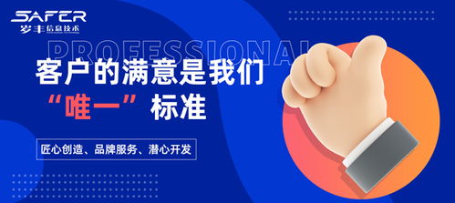 专业服务铸就信任，线上渠道驱动增长 岁丰信息技术的网络推广之道